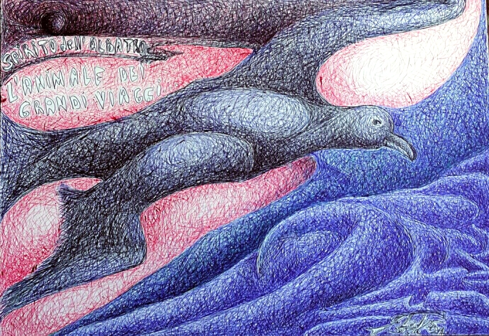 'Spirito dell'albatro, l'animale dei grandi viaggi..'  biro su carta  cm48x33